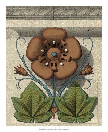 Framed Floral Detail I Print