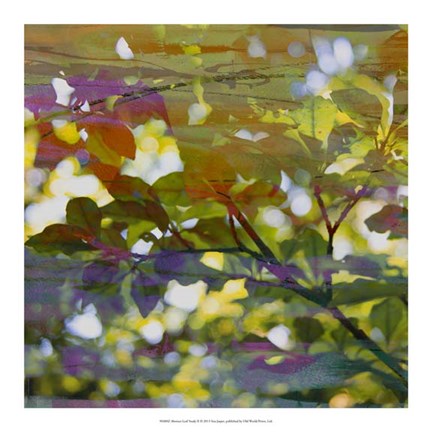 Framed Abstract Leaf Study II Print