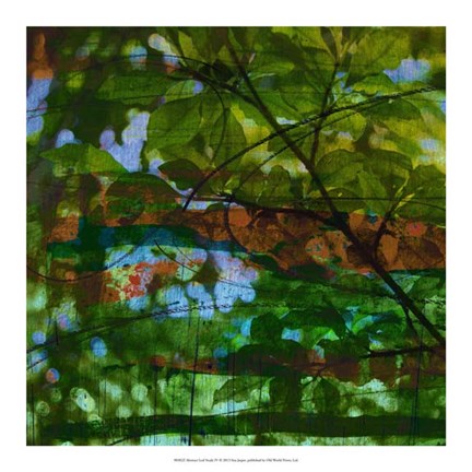 Framed Abstract Leaf Study IV Print