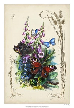 Framed Victorian Butterfly Garden VI Print