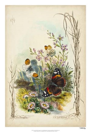 Framed Victorian Butterfly Garden IX Print