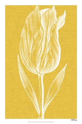 Framed Chromatic Tulips IV Print