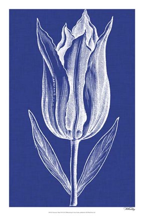 Framed Chromatic Tulips VII Print