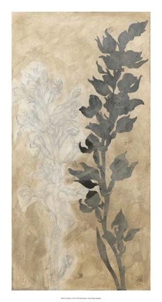 Framed Contrary I Print