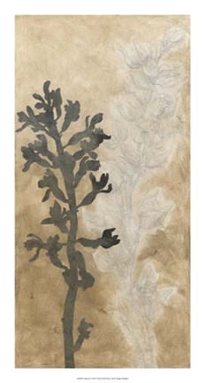 Framed Contrary II Print