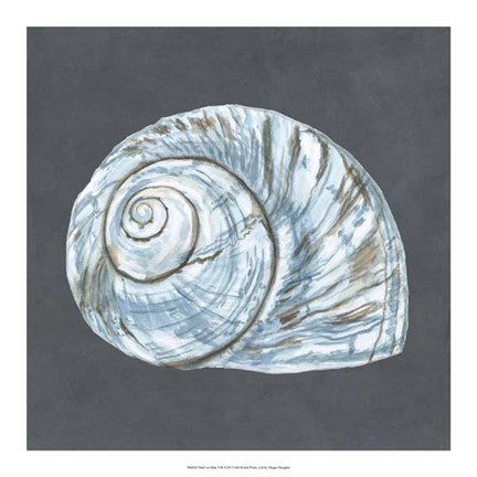 Framed Shell on Slate VIII Print