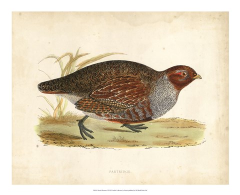 Framed Morris Pheasants I Print