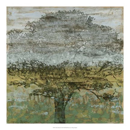 Framed Arbor Shadow II Print