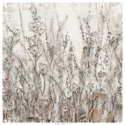 Framed Shadows II Print