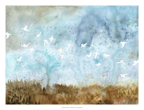 Framed Birds in Flight II Print