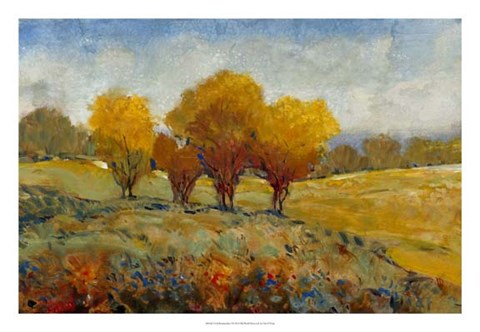 Framed Vivid Brushstrokes I Print