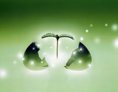 Framed Shiny green egg bursting in two with green sprig and stars escaping Print