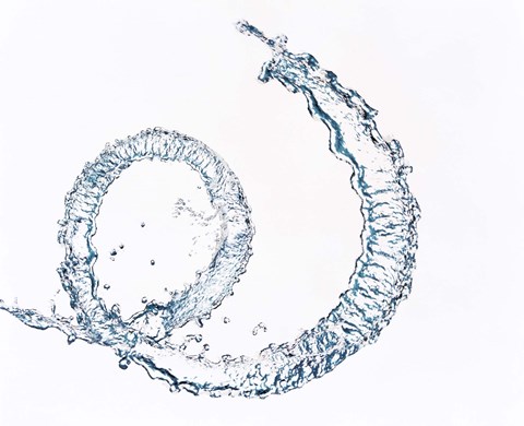Framed Curl of water drops on white background Print
