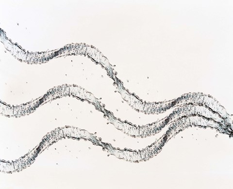 Framed Three ribbons of water drops with white background Print