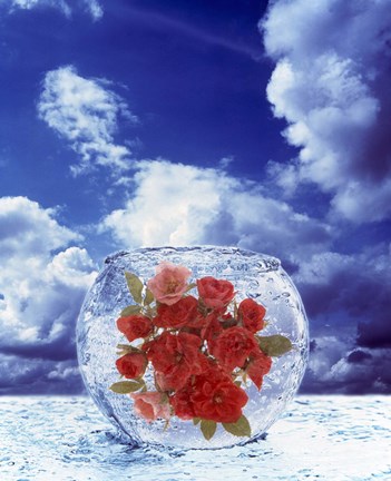 Framed Crystal round vase filled with ice and red roses resting on seashore with blue sky and white clouds Print