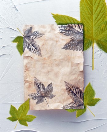 Framed Green and grey leaves superimposed on pink plaster rectangle on white plaster wall Print