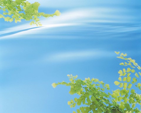 Framed Autumn leaves in water Print