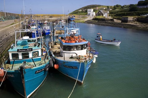 Framed Helvick Harbour, Ring Gaeltacht Region, County Waterford, Ireland Print