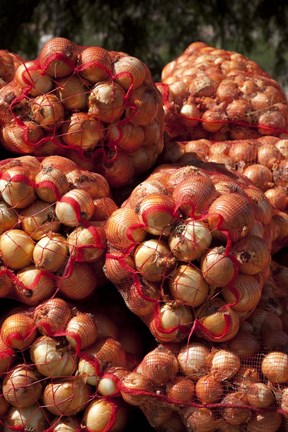 Framed Close-up of sack of onions, Seclantas, Calchaqui Valleys, Salta Province, Argentina Print