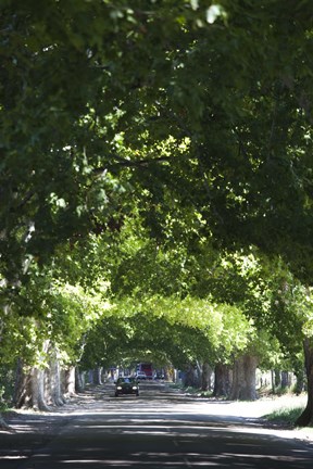 Framed Car on a country road, Lujan De Cuyo, Mendoza Province, Argentina Print