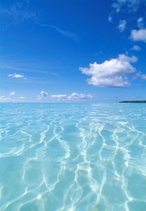 Framed Tropical water with blue skies in background Print