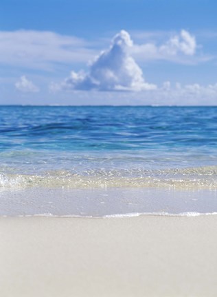 Framed Tropical beach with blue skies in background Print