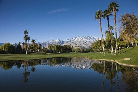 Framed Pond in a golf course, Desert Princess Country Club, Palm Springs, Riverside County, California, USA Print