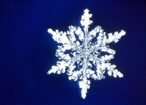 Framed Snowflake 1 Print