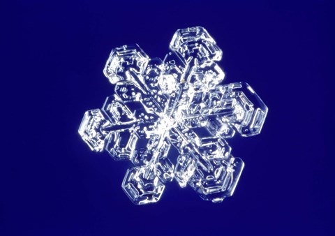 Framed Snowflake 2 Print