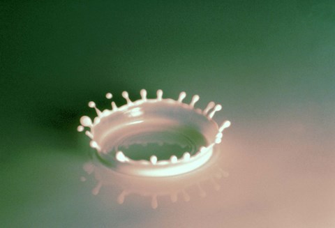 Framed Lavender Splash Forming Crown Print