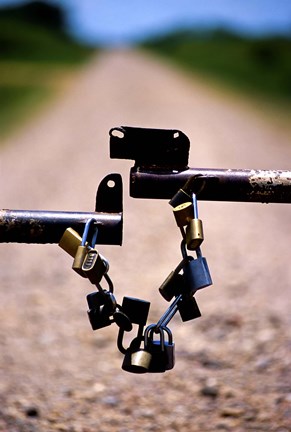 Framed Close-up of padlocks on a barrier Print