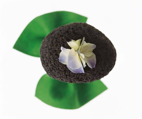 Framed Flower on rock Print