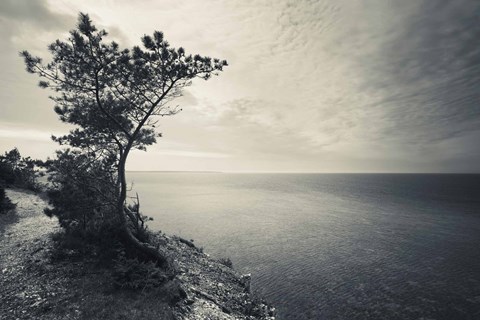 Framed Panga Cliff, Kuressaare, Saaremaa Island, Estonia (black &amp; white) Print