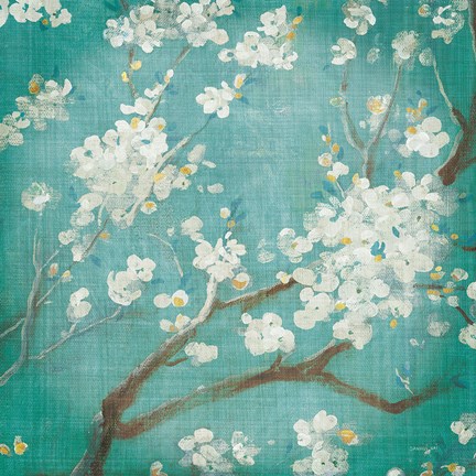 Framed White Cherry Blossoms I on Blue Aged No Bird Print