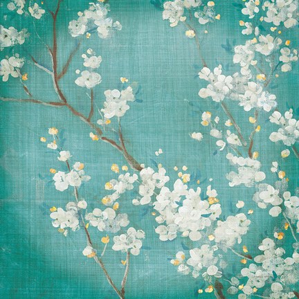 Framed White Cherry Blossoms II on Blue Aged No Bird Print