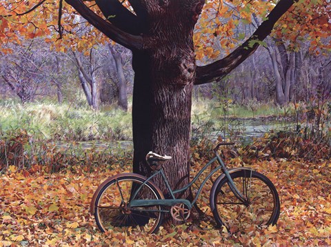 Framed Old Bike Print