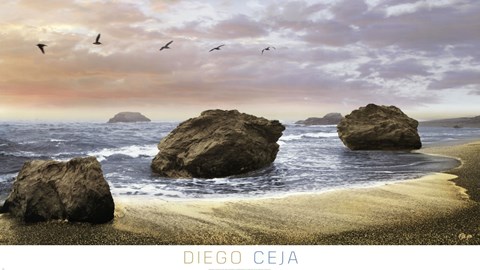 Framed Bodega Beach II Print