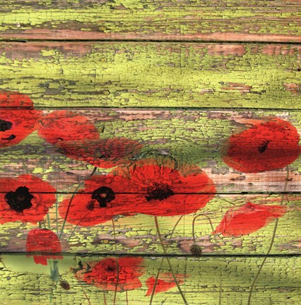 Framed Red Poppies 1 Print