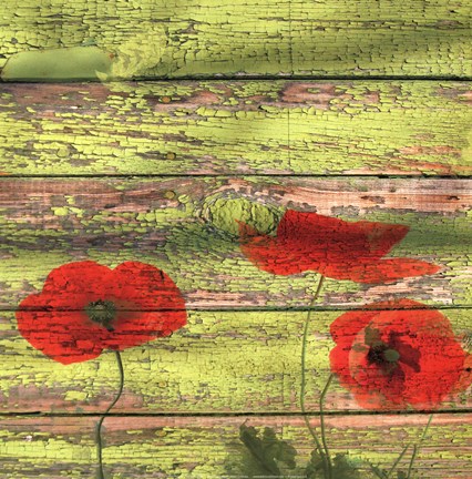 Framed Red Poppies 2 Print
