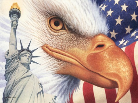 Framed Freedom Print