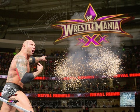 Framed Batista 2014 Royal Rumble Action Print