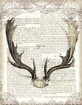 Framed Regal Antlers on Newsprint II Print
