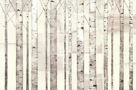 Framed Birch Trees on White Print