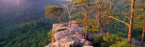 Framed Trees on a mountain, Buzzards&#39; Roost Fall Creek Falls State Park, Pikeville, Bledsoe County, Tennessee, USA Print