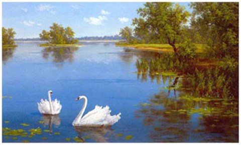 Framed Swans on the Lake Print