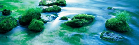 Framed Rocks with Moss, Oirase ravine Aomori Towadako-cho Japan Print