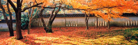 Framed Takagamine Shouzan Kyoto Japan Print