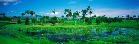 Framed Gold Coast NSW Australia Print