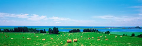 Framed Farm field Prince Isl Canada Print