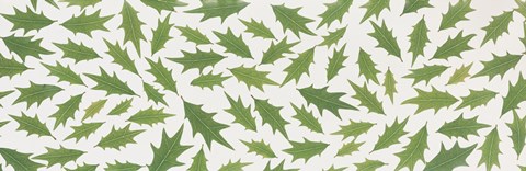 Framed Pattern of Hollies Print